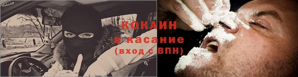 прущий лед Алзамай