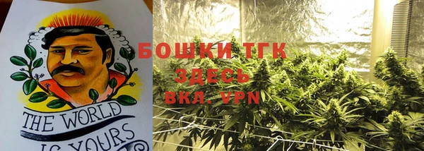 метадон Алексин